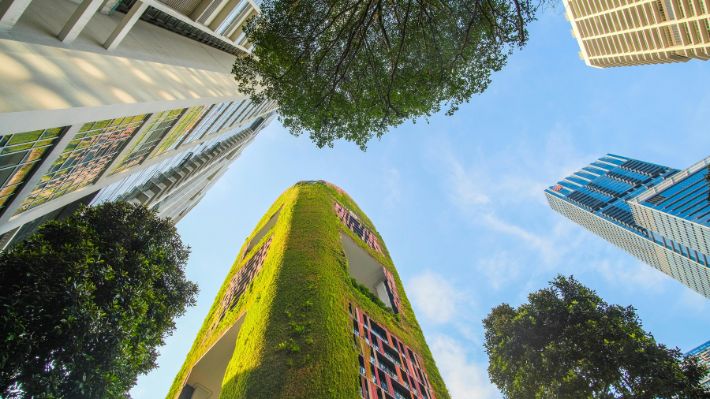 Programa nacional para startups apuesta por escalar negocios con sostenibilidad, tecnología y economía circular