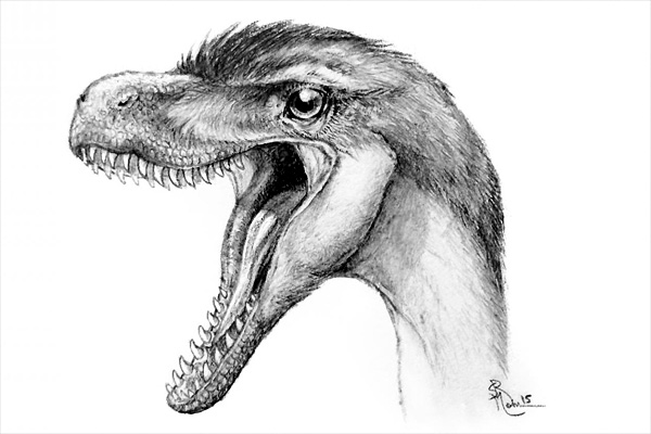 A través de los dientes científicos analizan la evolución de los dinosaurios  del Cretácico 