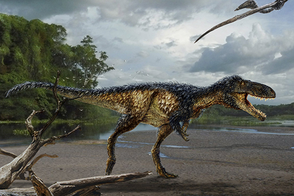 Hallazgo explica cómo el tiranosaurio evolucionó hasta ser el rey de los  depredadores 