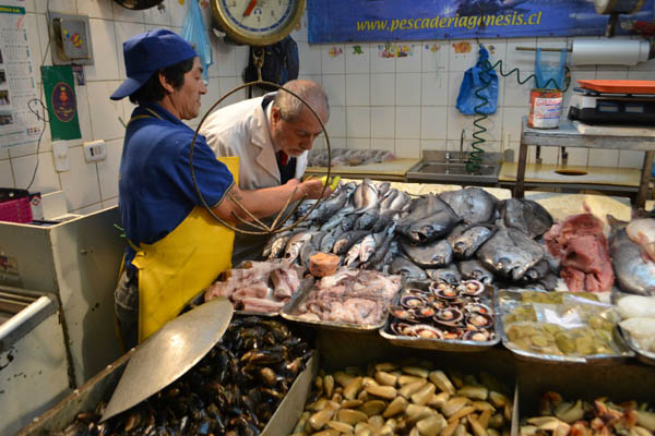 Autoridad sanitaria asegura que no hay riesgo al consumir pescados y  mariscos en Santiago 