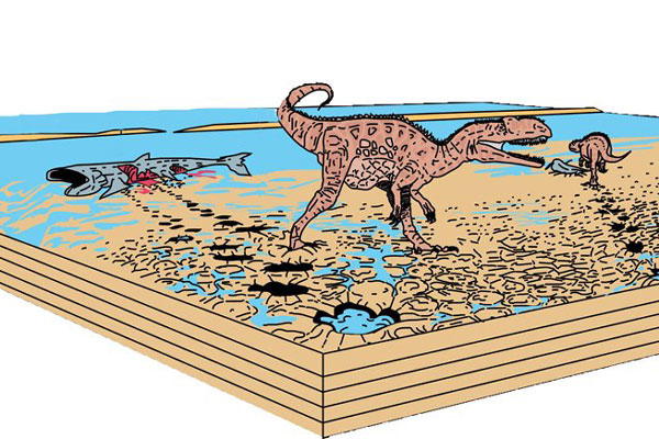 Paleontólogos hallan en Portugal 700 huellas de dinosaurios que comían  peces 