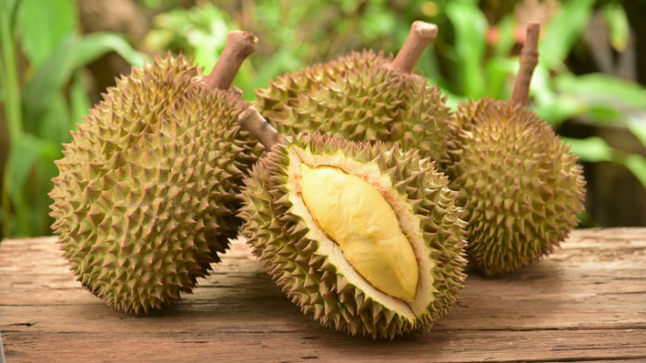 Unduh 97+ Gambar Durian Terbaik Gratis HD