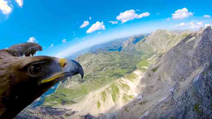 [VIDEO 360°] Sobrevuela los Alpes italianos junto a un águila