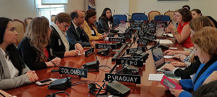 Comisión Interamericana de Mujeres y equidad de género en Chile: "A nivel regional está en una situación muy precaria"