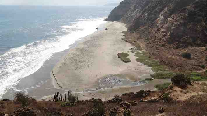 Proyecto habitacional Maratué responde: Iniciativa contempla privacidad para playa nudista