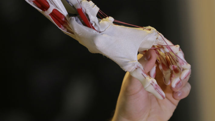 Chileno desarrolló mano biónica que funciona con las señales eléctricas musculares