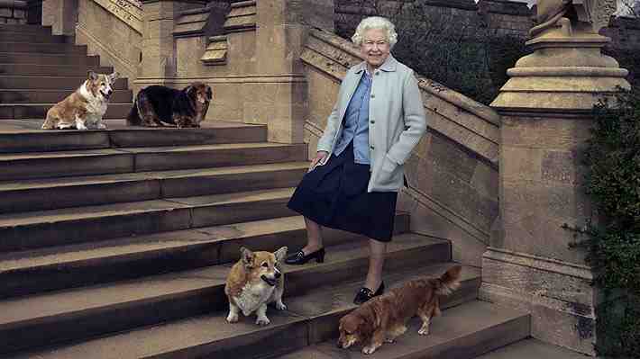 La gran tristeza de la reina Isabel: Tuvo que sacrificar a Willow, su último perro de raza corgi