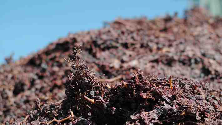 Viña Concha y Toro logra el reciclaje y la reutilización del 100% de sus residuos industriales