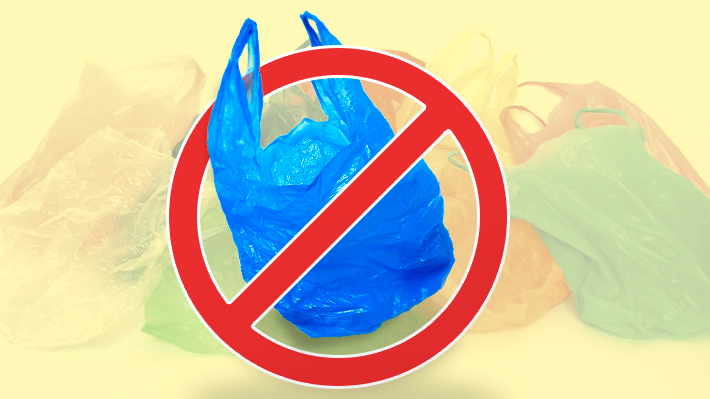 Cámara despacha proyecto que prohíbe entrega de bolsas plásticas y queda en condiciones de ser ley