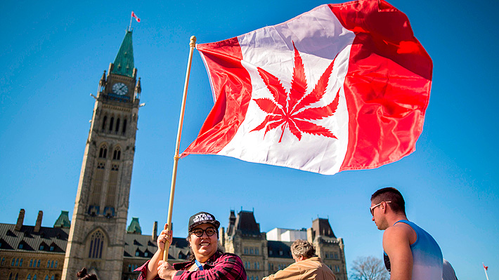 Diputados canadienses aprueban proyecto para legalizar la marihuana