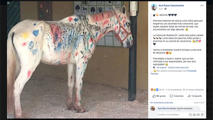Animalistas brasileños furiosos por actividad infantil que incluyó pintar a un caballo de colores