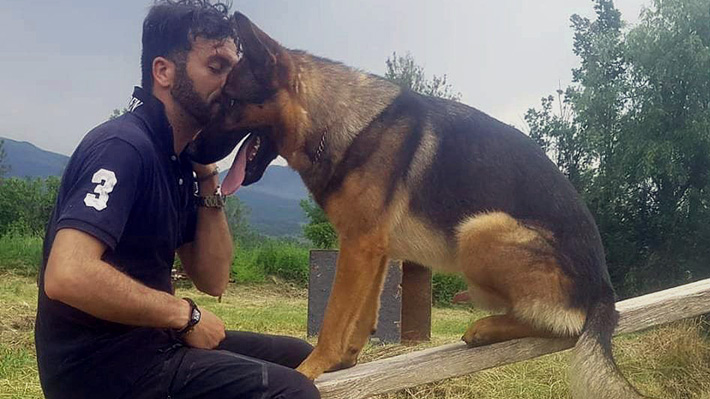 Murió un héroe: Encuentran envenenado a perro que ayudó a hallar sobrevivientes tras terremoto en Italia