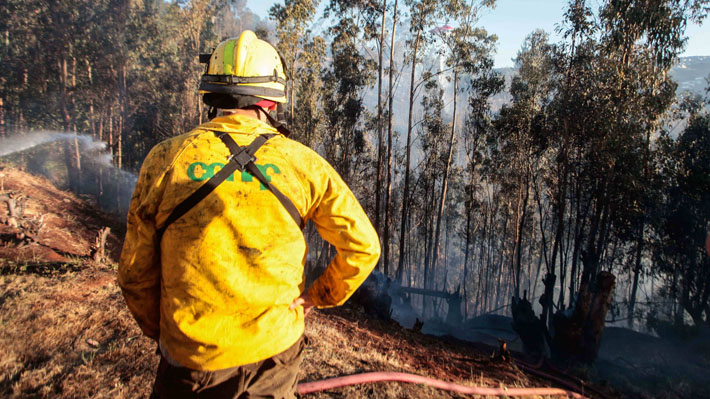 Onemi declara Alerta Roja en Pirque por incendio forestal