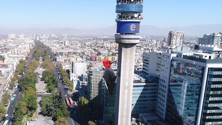 Pájaro carpintero gigante se posará sobre la Torre Entel por encuentro artístico