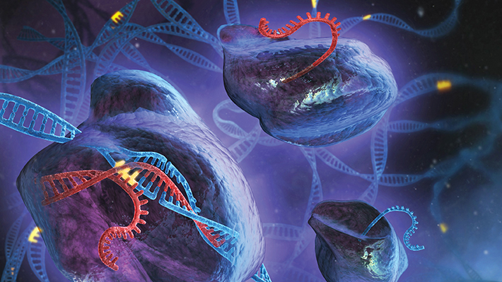 Edición genética: Cómo funciona la aclamada y pionera técnica "CRISPR-Cas9"