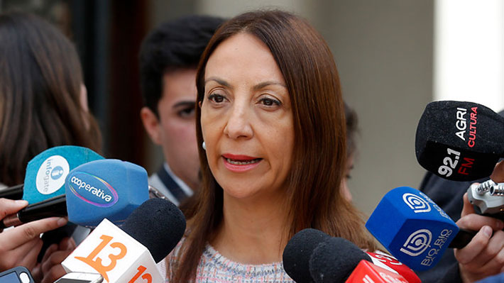 Gobierno tilda de "irresponsable" cita de Boric con Palma y advierte que puede "afectar" intereses de Chile