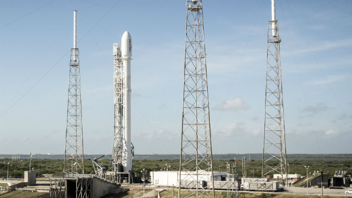 El primer viaje de SpaceX para las misiones tripuladas de la NASA ya tiene fecha de lanzamiento