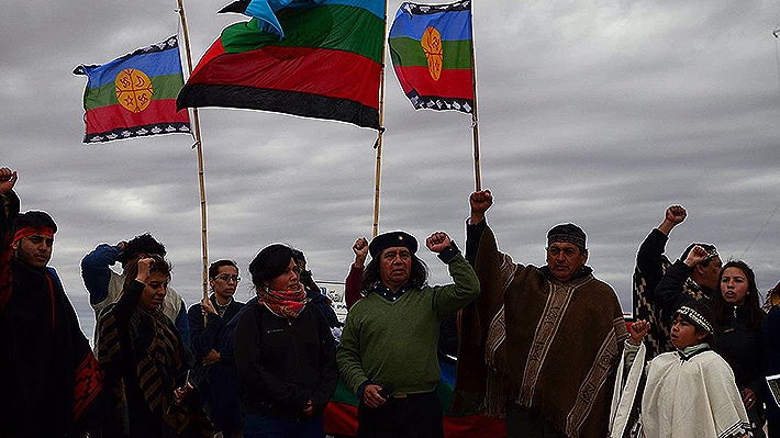 Creador de bandera mapuche critica "doble discurso" en su uso y apunta a Vallejo y Cariola: "Aprovechan la oportunidad"