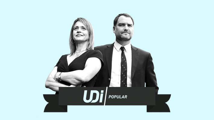 Debate virtual: Van Rysselberghe y Macaya entregan propuestas y definiciones ante las elecciones de la UDI