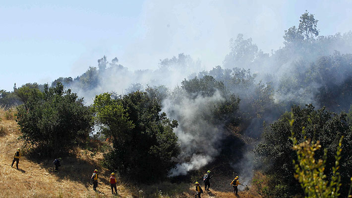 Conaf declara alerta roja por incendio forestal en Pichilemu que ha afectado a 15 hectáreas