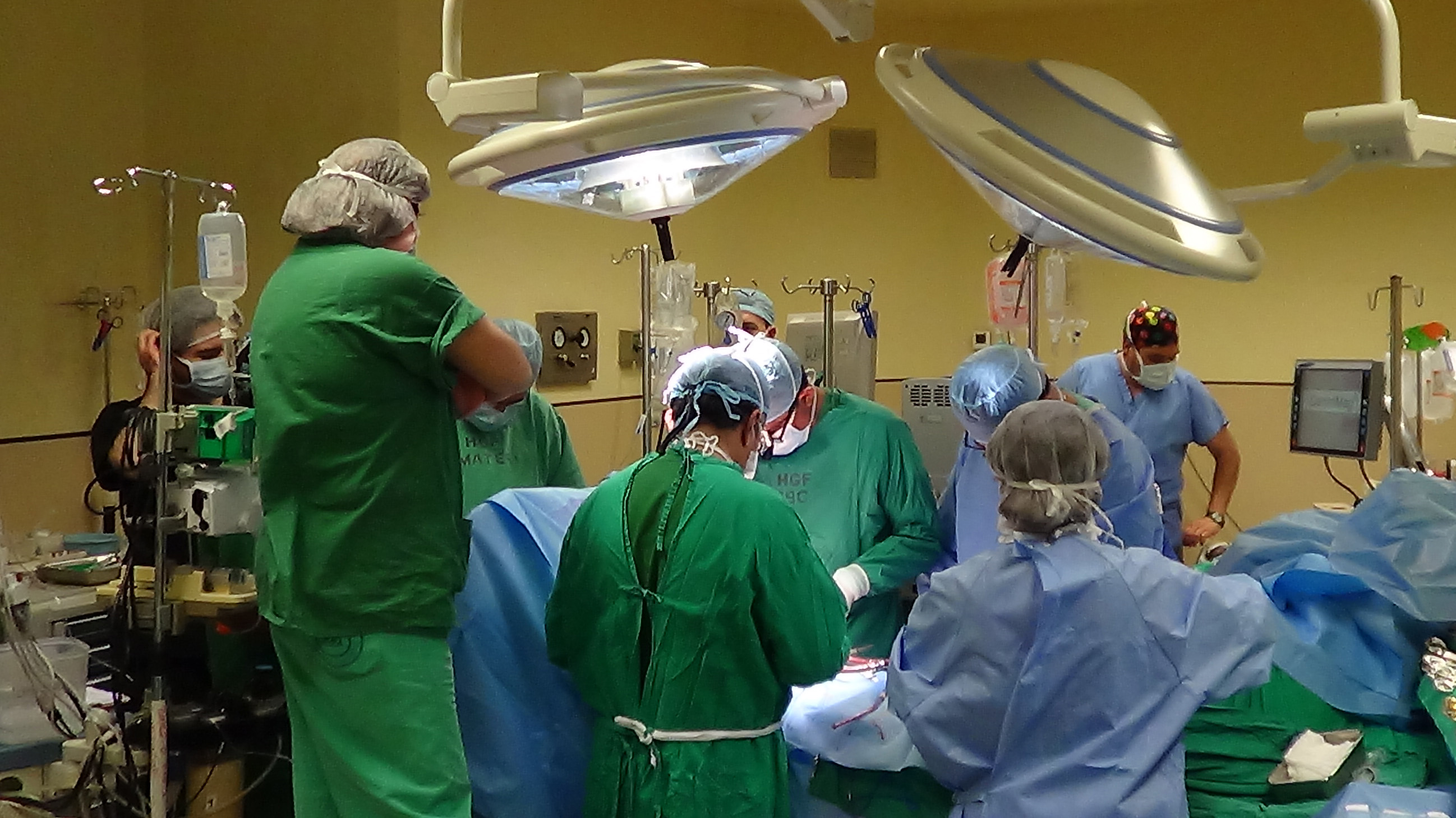 Tras muerte de niños que esperaban un órgano: Cerca del 10% de los trasplantados en Chile son menores de edad