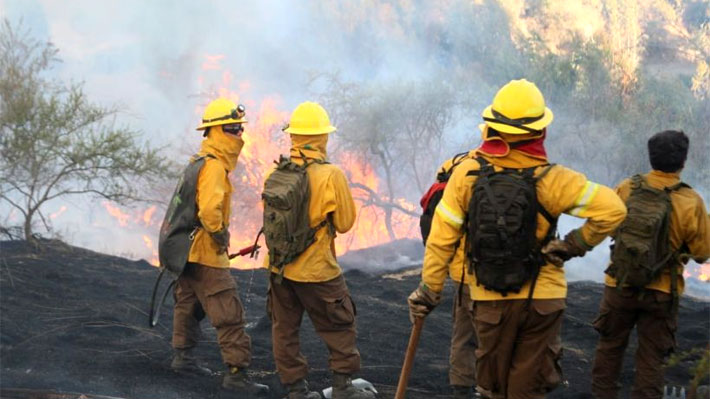 Alcalde de Santo Domingo por incendio forestal: "Está todavía sin control y hay varios focos en desarrollo"