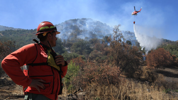 Conaf por incendios forestales: Las actuales condiciones "son semejantes a la catástrofe de 2017"