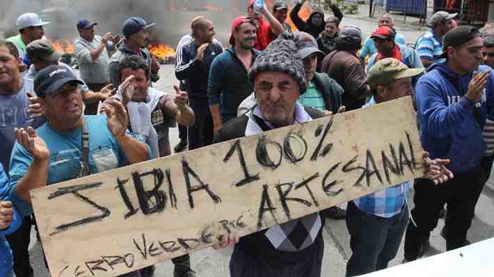 "Ley de la jibia": Cuál es el origen del conflicto que enfrenta a la industria pesquera