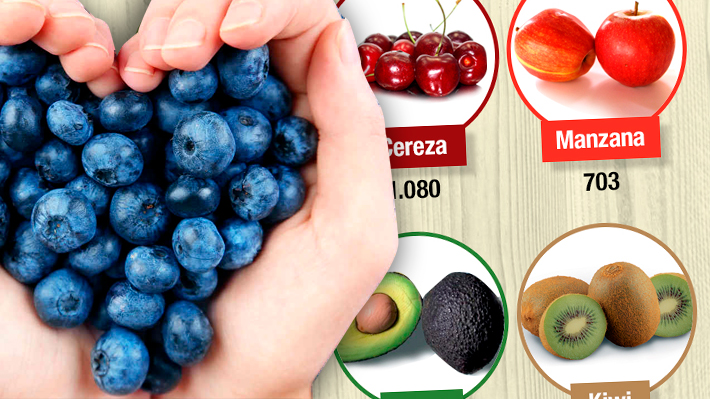 Radiografía a la exportación de arándanos, la cuarta fruta más valiosa de Chile