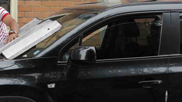 Perro muere tras permanecer varias horas encerrado en un automóvil en Viña del Mar