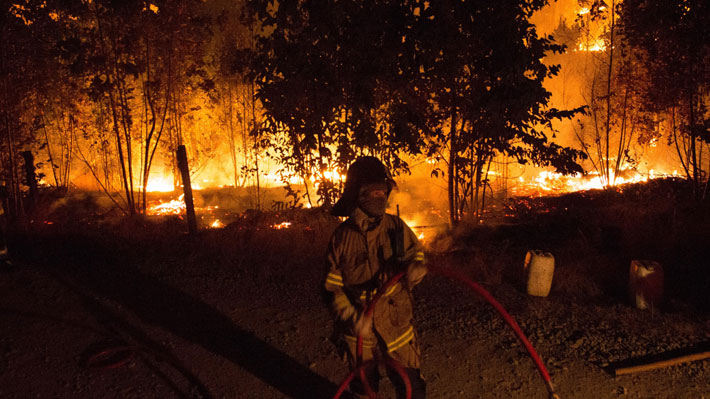 Incendios forestales han dañado un 45% más de superficie en comparación a la misma fecha de la temporada pasada