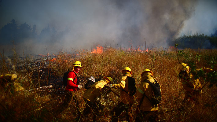 Experto critica gestión ante emergencias: "El problema es nuestra capacidad para detener a tiempo los incendios"