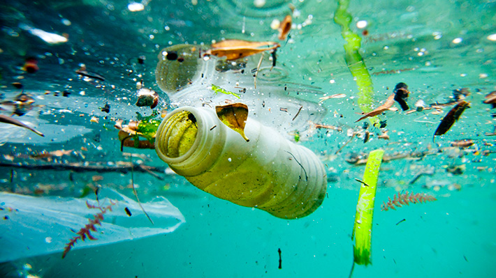 Detectan la presencia de microplásticos en la profundidad del océano: hasta los crustáceos más pequeños están contaminados
