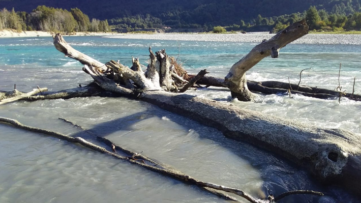 Cambio de color del río Puelo activa las alarmas y expertos analizan el fenómeno