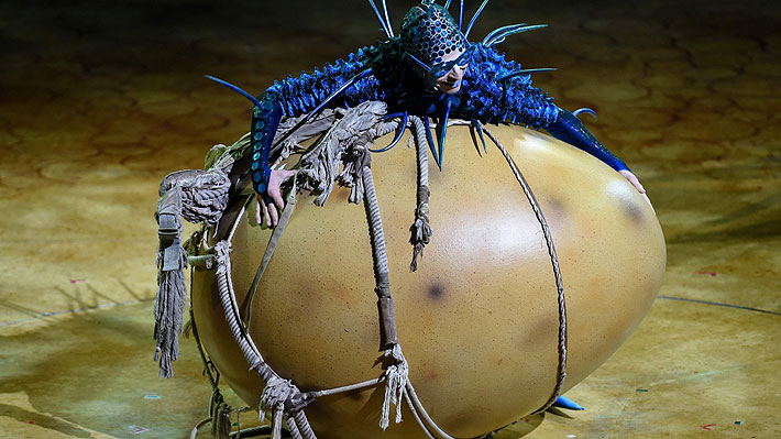 Cirque du Soleil regresa a Chile con OVO, un espectáculo que trata sobre la tolerancia y el respeto