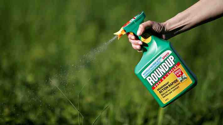 Condenan a Monsanto a pagar US$2.000 millones a una pareja en EE.UU. por efectos cancerígenos de herbicida