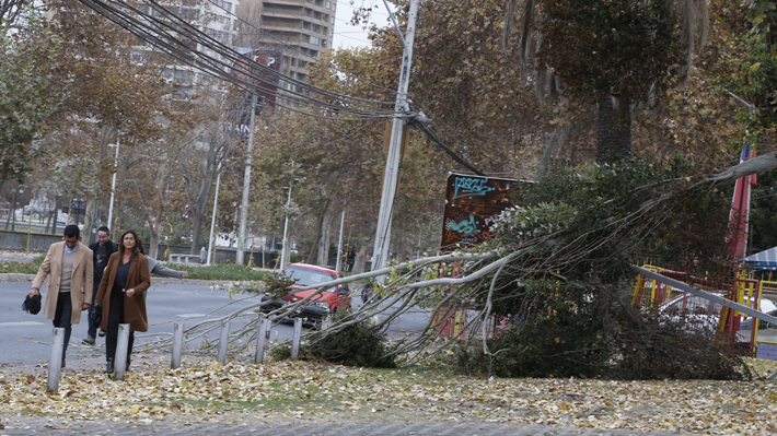 Fuertes vientos en la Región Metropolitana  provocan caída de árboles y cortes de energía