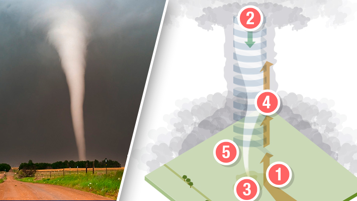 Infografía: Cinco pasos que explican cómo se genera un tornado