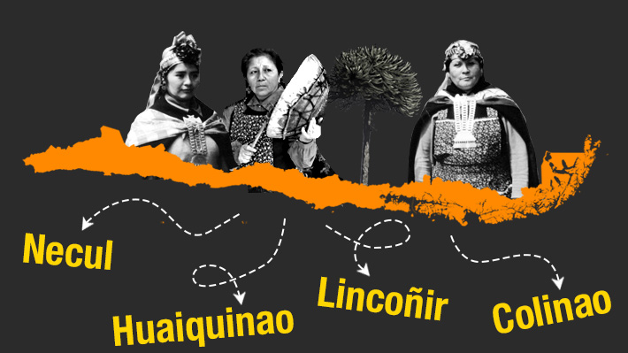 Compilan los más de 8 mil apellidos mapuches que están registrados en  Chile: Revísalos aquí 
