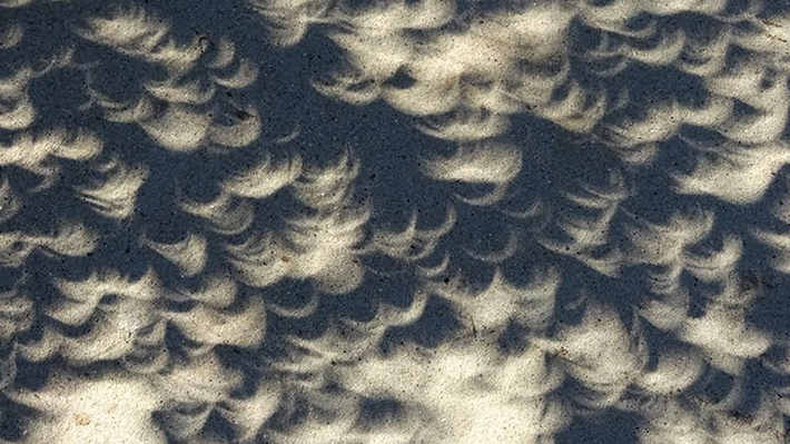 Galería: Sombras con forma de media luna, la otra manera de ver el eclipse