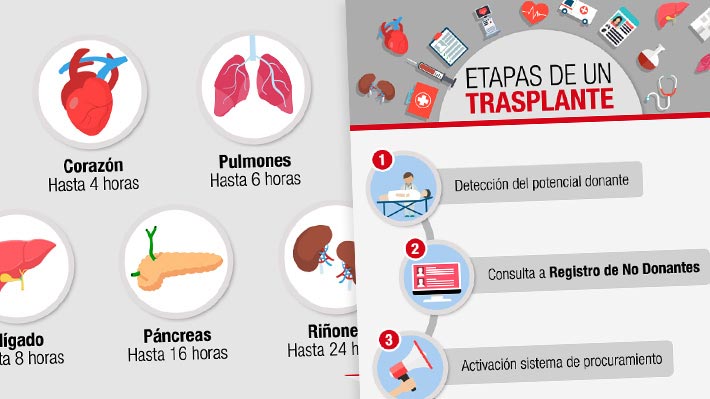 Los 11 pasos para un trasplante y el aumento de donantes de órganos entre 2018 y 2019