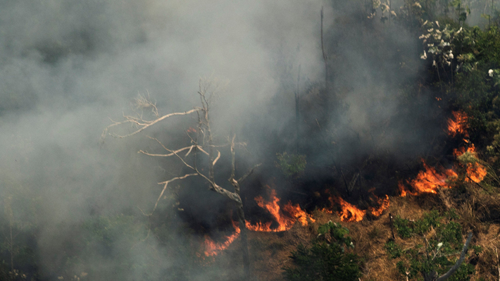 Brasil intensifica labores en la Amazonía: FF.AA. ya trabajan en la zona y Gobierno federal destina US$ 9,6 millones