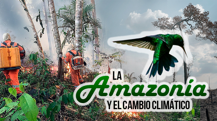 La Amazonía y el cambio climático: Las claves para entender su real importancia para el planeta