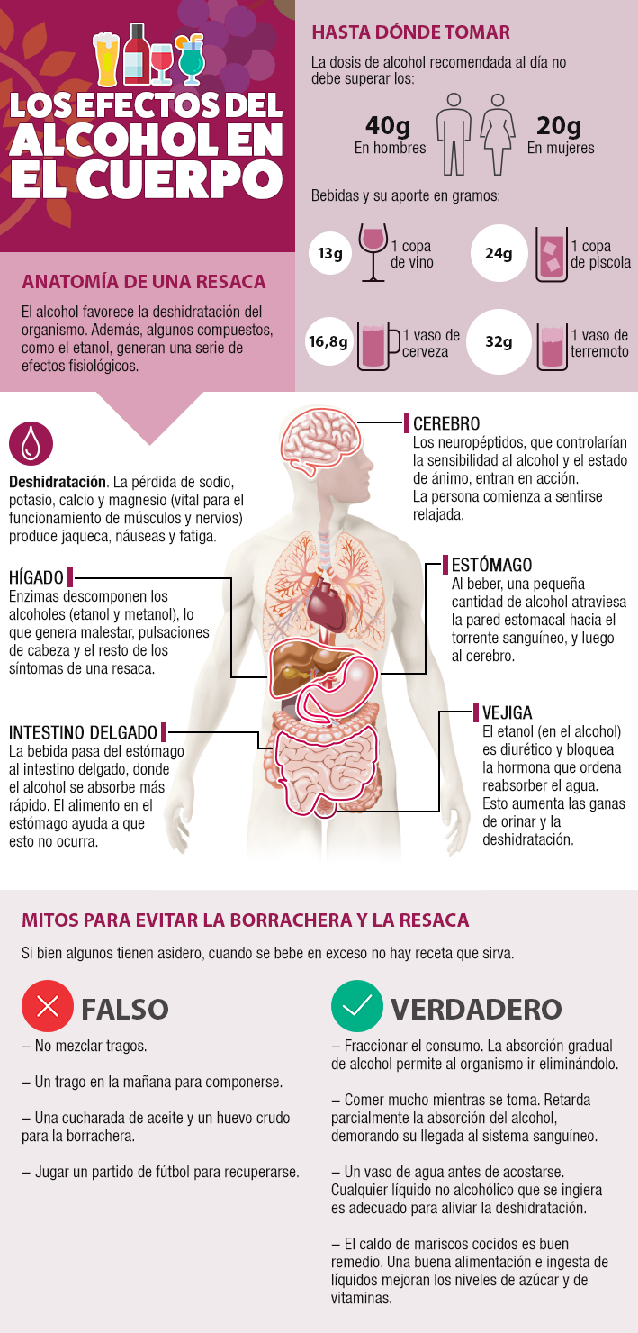 Los Efectos Del Alcohol En El Cuerpo Conoce Cómo Afecta Su Consumo Al 4675