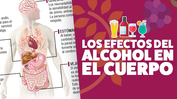 Los efectos del alcohol en el cuerpo: Conoce cómo afecta su consumo al organismo