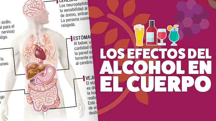 Los efectos del alcohol en el cuerpo: Conoce cómo afecta su consumo al organismo