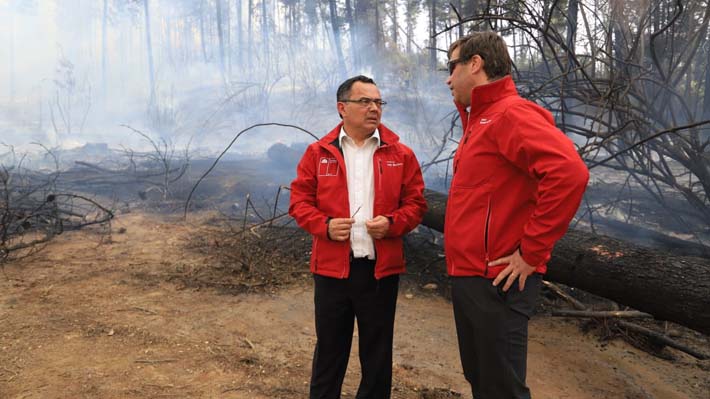 Autoridades señalan que el origen del incendio forestal en Valparaíso habría sido intencional