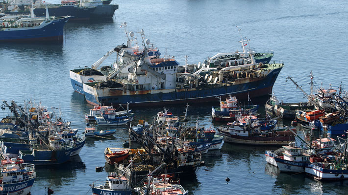 Gremios pesqueros chilenos respaldan denuncia del Gobierno contra Perú por extracción de jurel y califican caso de "gravísimo"