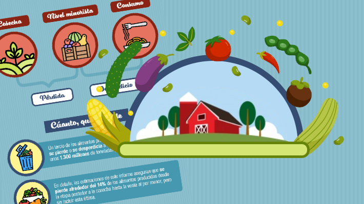 La comida que no vemos: ¿Cómo y dónde se pierde el 13,8% de los alimentos después de su cosecha?