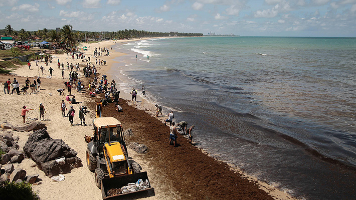 Brasil asume desastre ambiental por vertido de petróleo en sus playas: "Es una situación inédita"